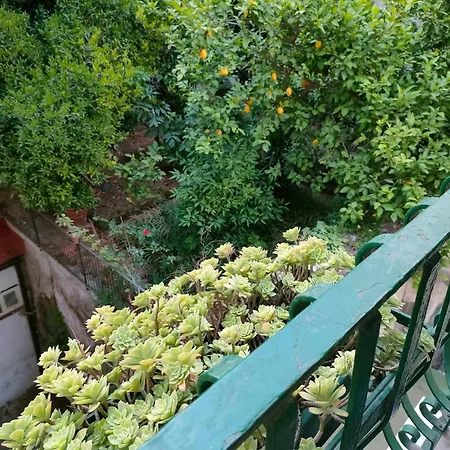 Bed & Breakfast A Casa Di Freddie